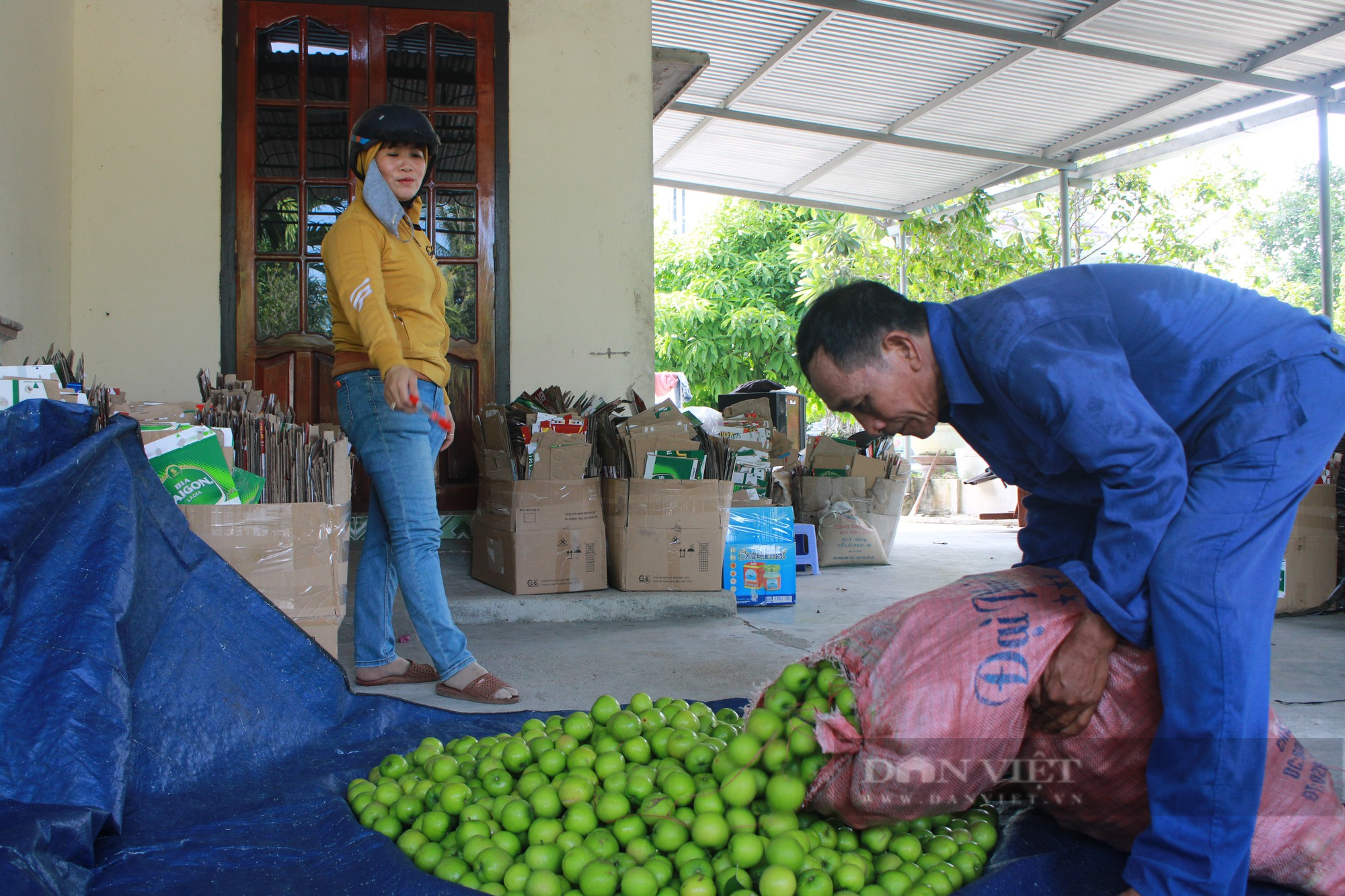 Chuyện về nông dân &quot;tỷ phú&quot; làm giàu từ cây táo ở Khánh Hòa - Ảnh 8.