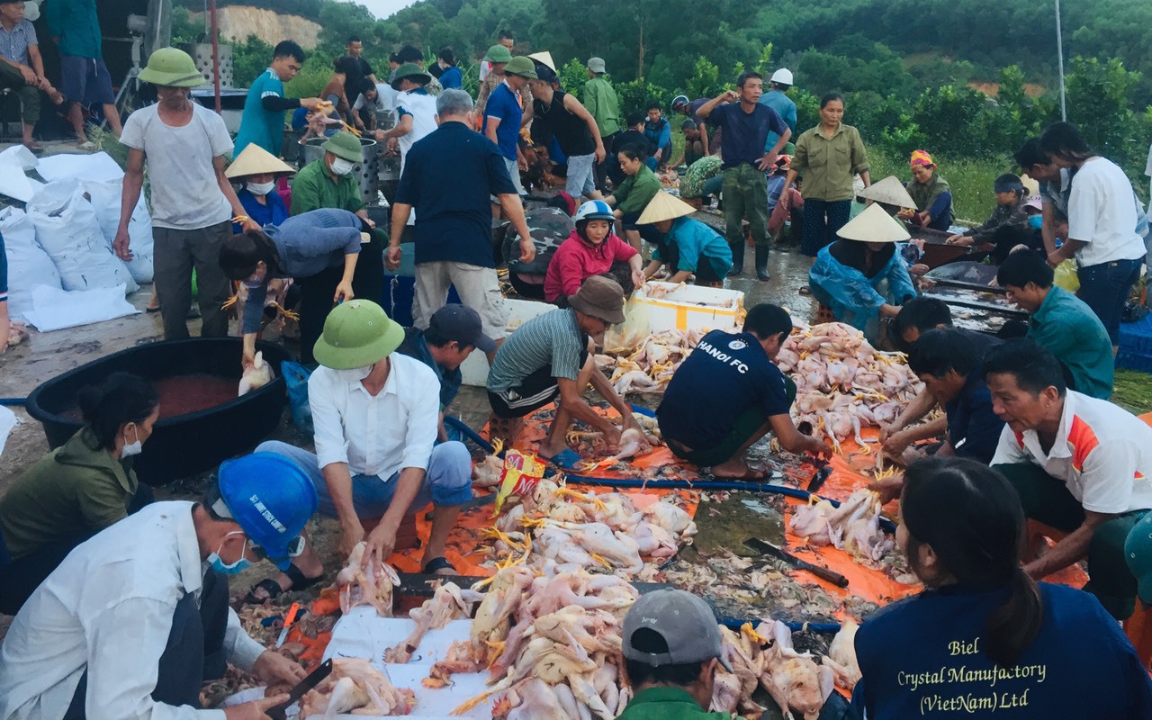 Hà Tĩnh: 200 người xuyên đêm làm thịt đàn gà khổng lồ bị chết ngạt do hỏng quạt thông gió