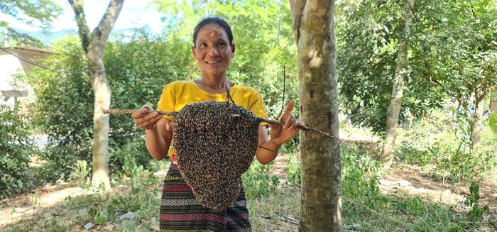 Cả xã này ở Quảng Bình chỉ duy nhất có một phụ nữ tay không bắt ong rừng lấy mật, 10 năm liên tục - Ảnh 1.
