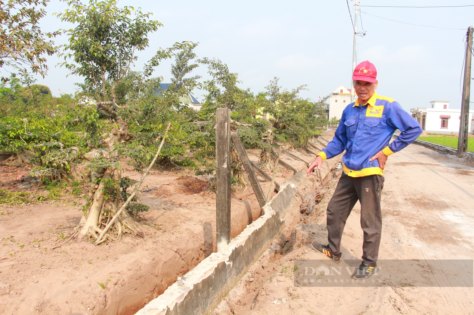 Nông dân Nam Định đoàn kết giúp nhau làm giàu, tích cực tham gia xây dựng nông thôn mới - Ảnh 4.