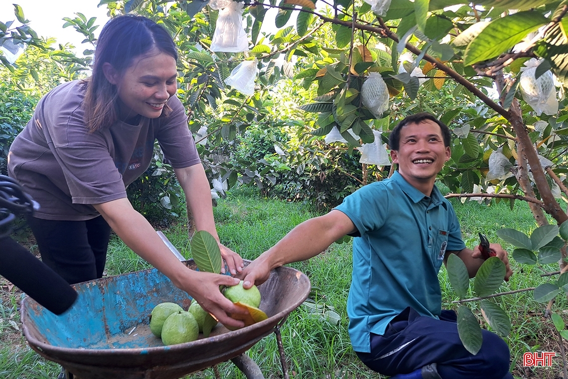 Cặp vợ chồng trẻ Hà Tĩnh trồng la liệt các loại cây ăn quả, bán ra nước ngoài, thu về 700 triệu đồng mỗi năm - Ảnh 7.