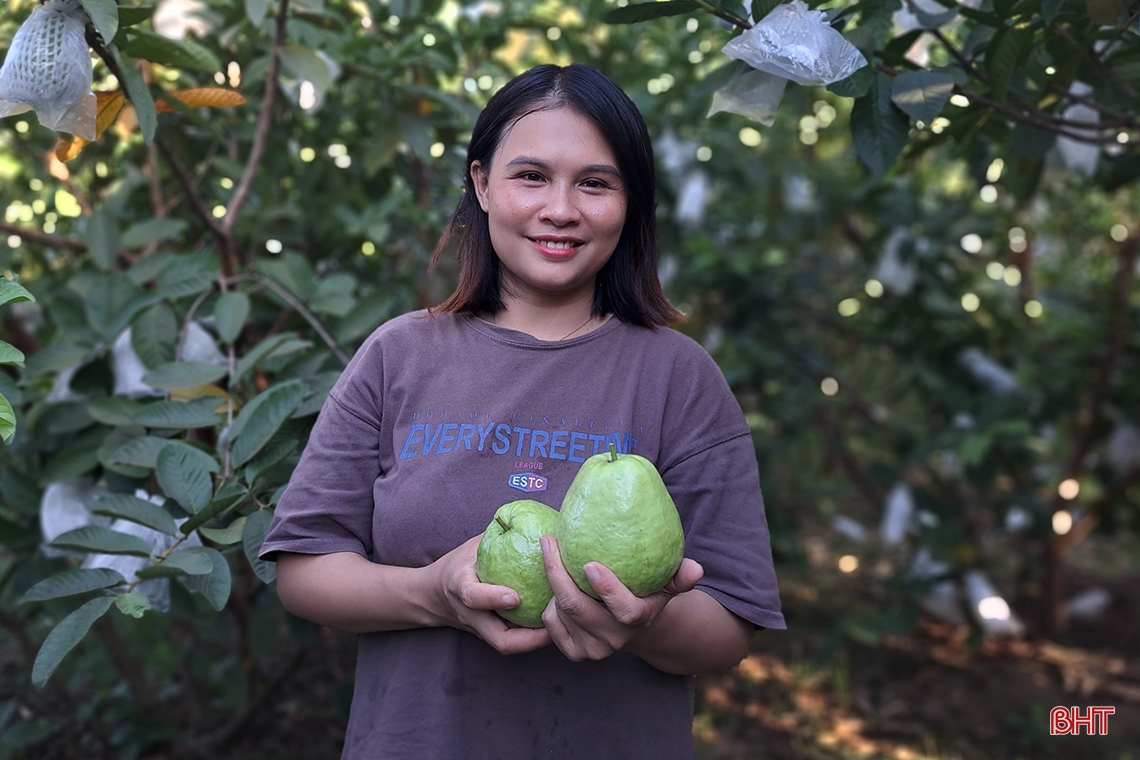 Cặp vợ chồng trẻ Hà Tĩnh trồng la liệt các loại cây ăn quả, bán ra nước ngoài, thu về 700 triệu đồng mỗi năm - Ảnh 8.