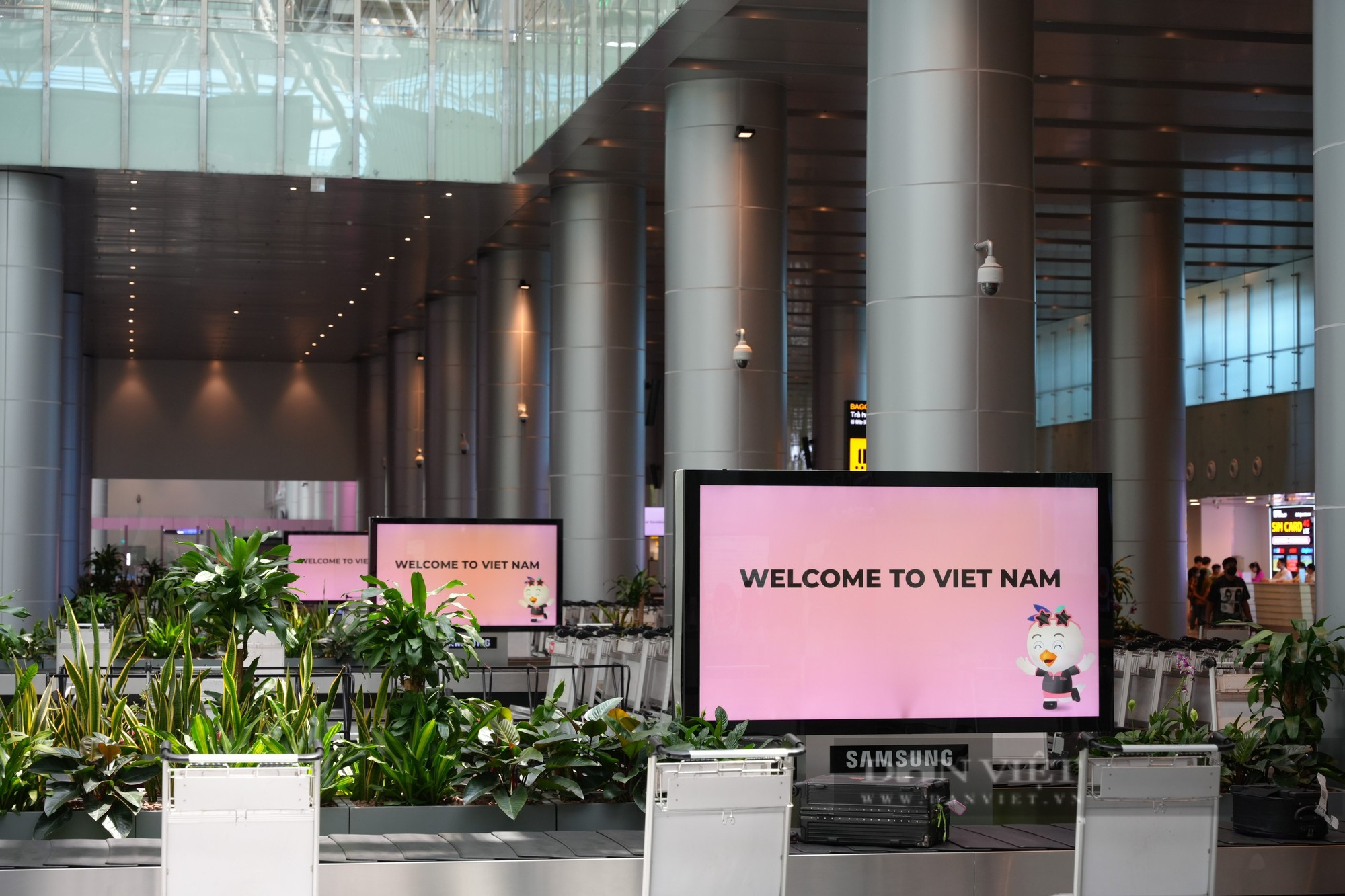 Bất ngờ giao diện &quot;hồng đen&quot; tại sân bay Đà Nẵng - Ảnh 2.