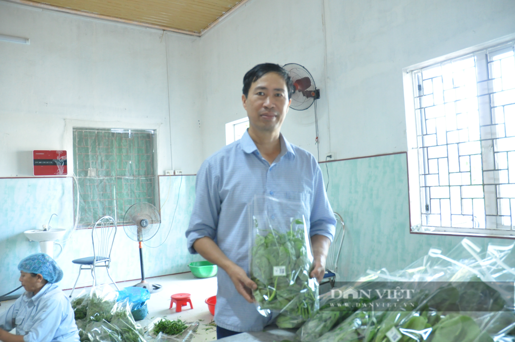 Nam Định có xã nông thôn mới kiểu mẫu đầu tiên nổi trội về lĩnh vực sản xuất nông nghiệp - Ảnh 2.