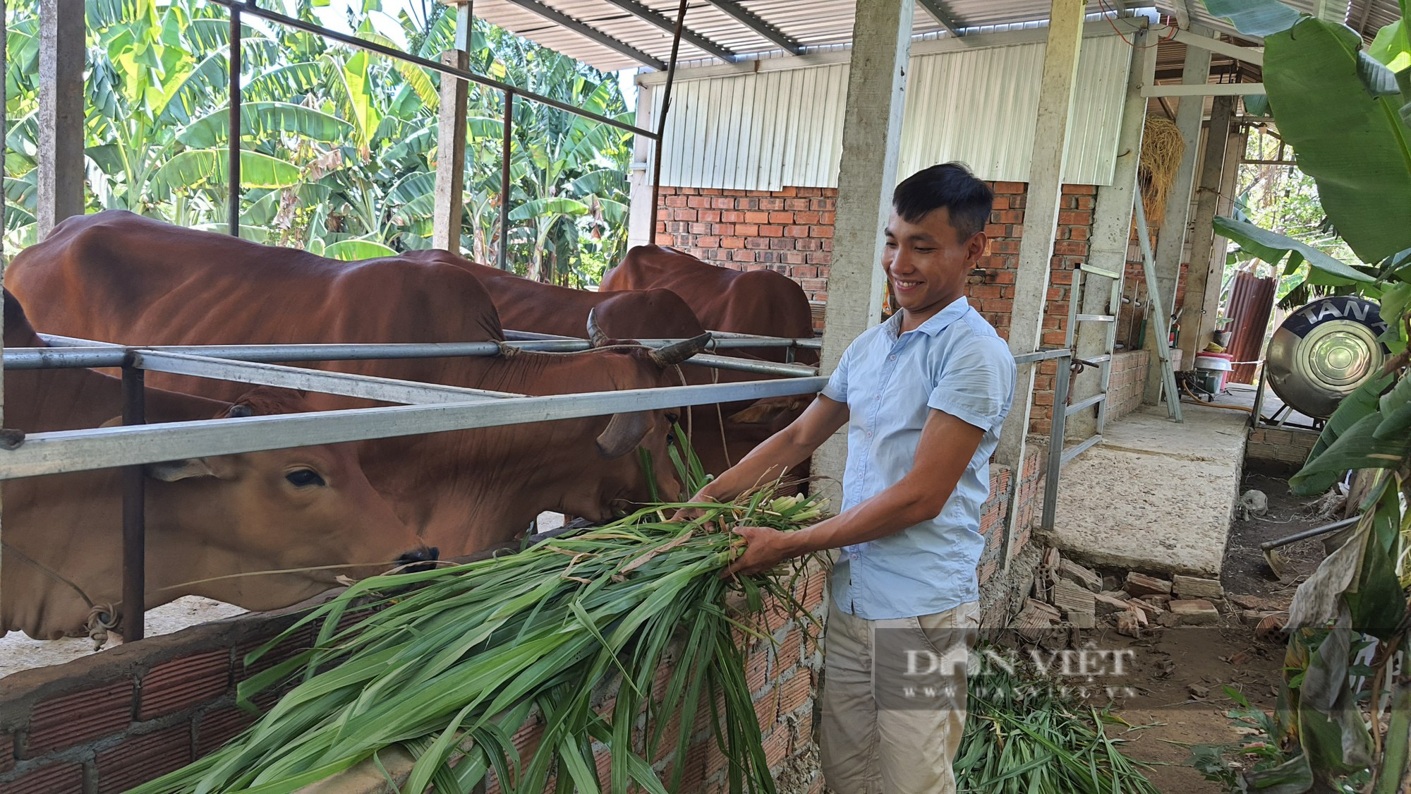 Quảng Nam: NHCSXH huyện Đại Lộc nâng cao chất lượng tín, tiếp vốn kịp thời cho các đối tượng chính sách - Ảnh 8.