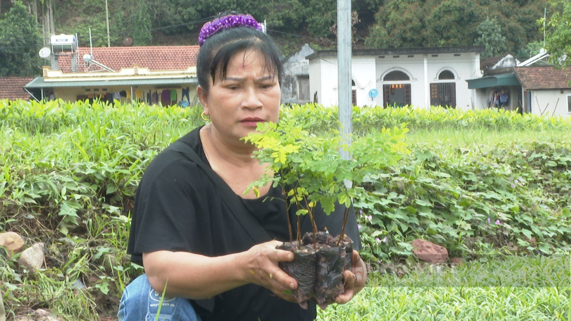 Nhân lên những tỷ phú, triệu phú nông dân ở huyện miền núi đầu tiên của phía Bắc đạt chuẩn nông thôn mới - Ảnh 2.