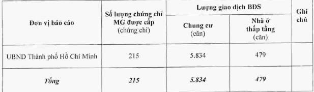 6 tháng đầu năm, hoạt động kinh doanh bất động sản tại TP.HCM tăng trưởng âm 11,58% - Ảnh 5.