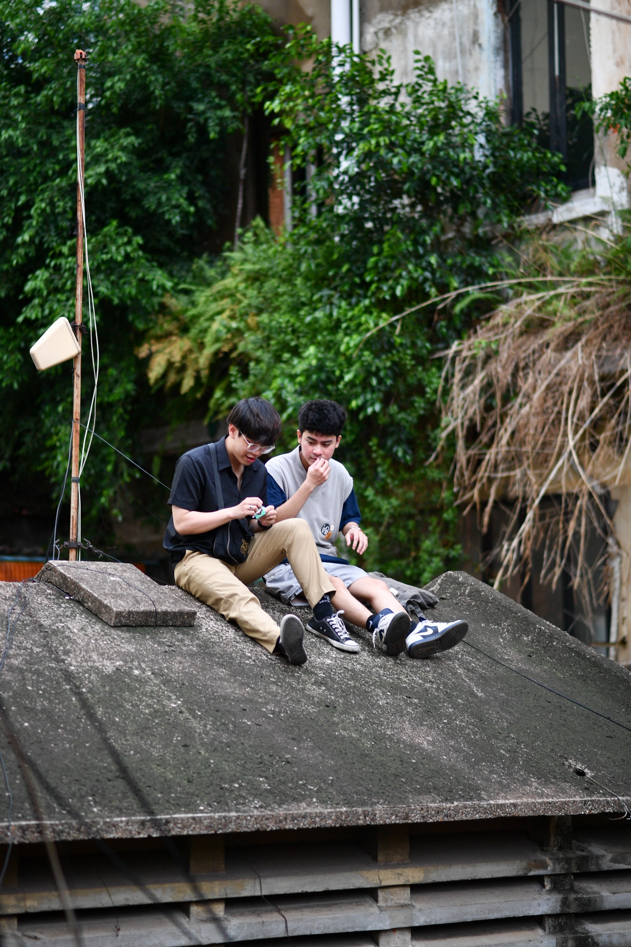 Giới trẻ TP.HCM ngồi cà phê trên mái nhà - Ảnh 3.