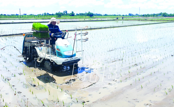 Ở một xã của tỉnh Thái Bình, 20 máy cấy cùng tiến công ra đồng, ào một cái xong hàng chục hecta lúa - Ảnh 1.