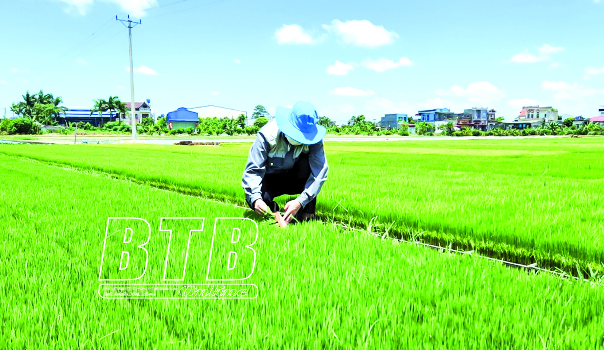 Ở một xã của tỉnh Thái Bình, 20 máy cấy cùng tiến công ra đồng, ào một cái xong hàng chục hecta lúa - Ảnh 2.