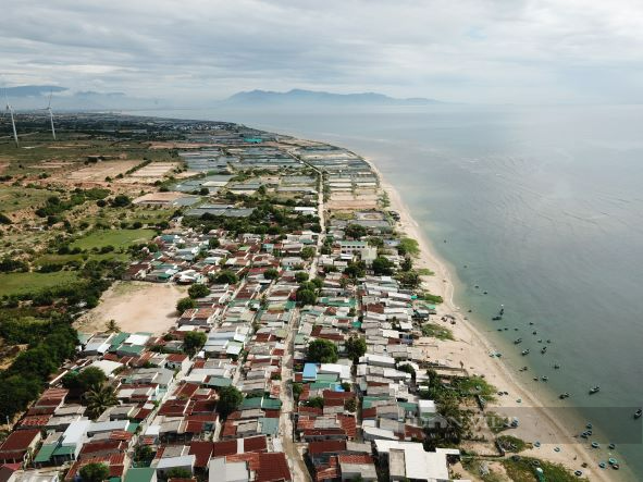 Hủy thông báo thu hồi đất khu vực 2 nhà máy điện hạt nhân ở Ninh Thuận - Ảnh 3.