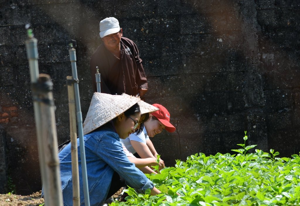 Đến làng này ở TT-Huế thấy cầu ngói cổ bắc qua dòng sông Như Ý, khách Tây bơi thuyền xem thả lưới bắt cá - Ảnh 10.