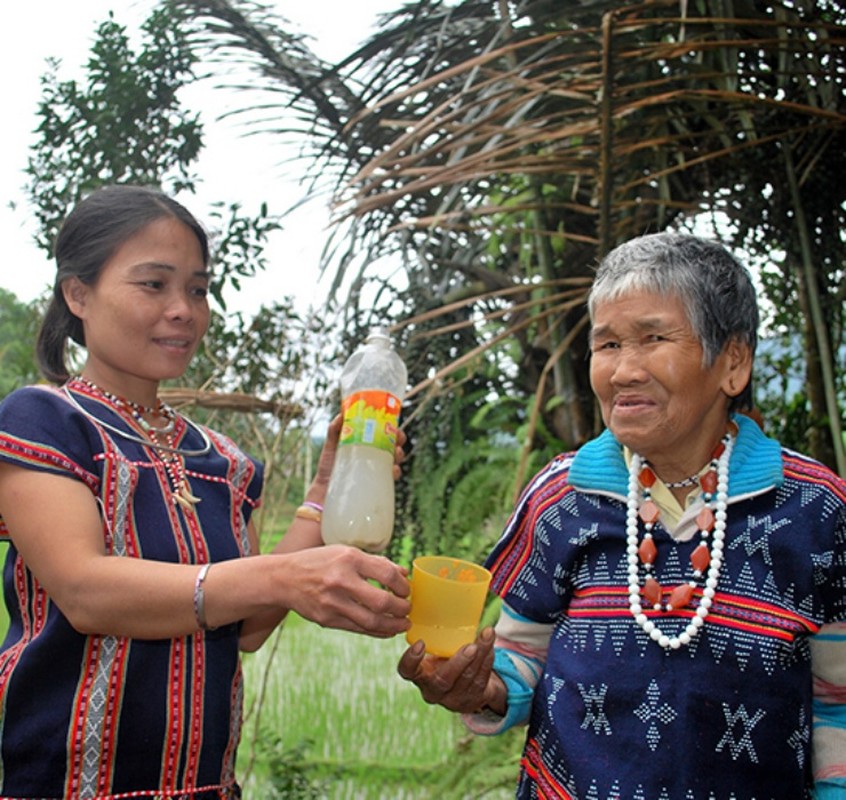 Nghề lạ ở Việt Nam: &quot;Mổ&quot; cây lấy nước ra ngay thứ đặc sản hấp dẫn, không phải nơi nào cũng có - Ảnh 7.