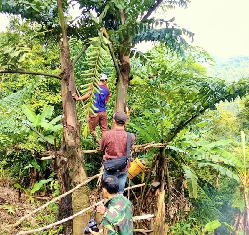 Nghề lạ ở Việt Nam: &quot;Mổ&quot; cây lấy nước ra ngay thứ đặc sản hấp dẫn, không phải nơi nào cũng có - Ảnh 9.