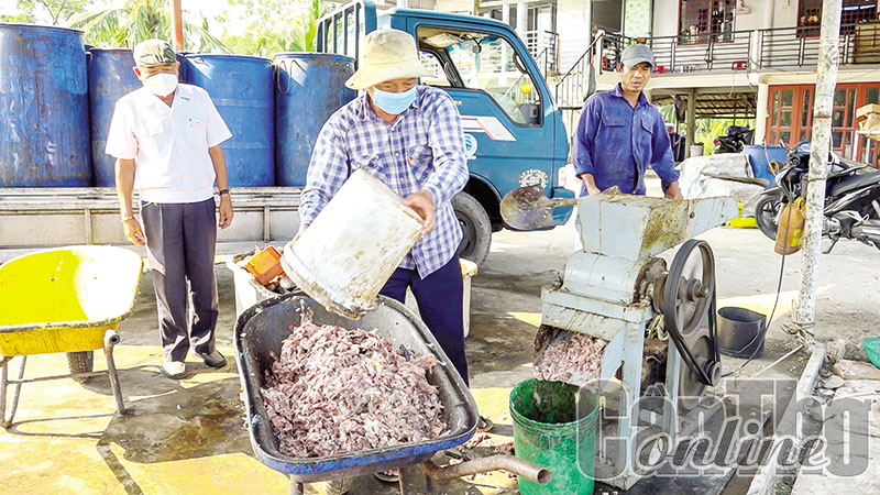 Nuôi 2 loài cá với sáng kiến xử lý nước thải, ông nông dân Kiên Giang giàu lên, lãi hơn 1 tỷ đồng/năm - Ảnh 1.