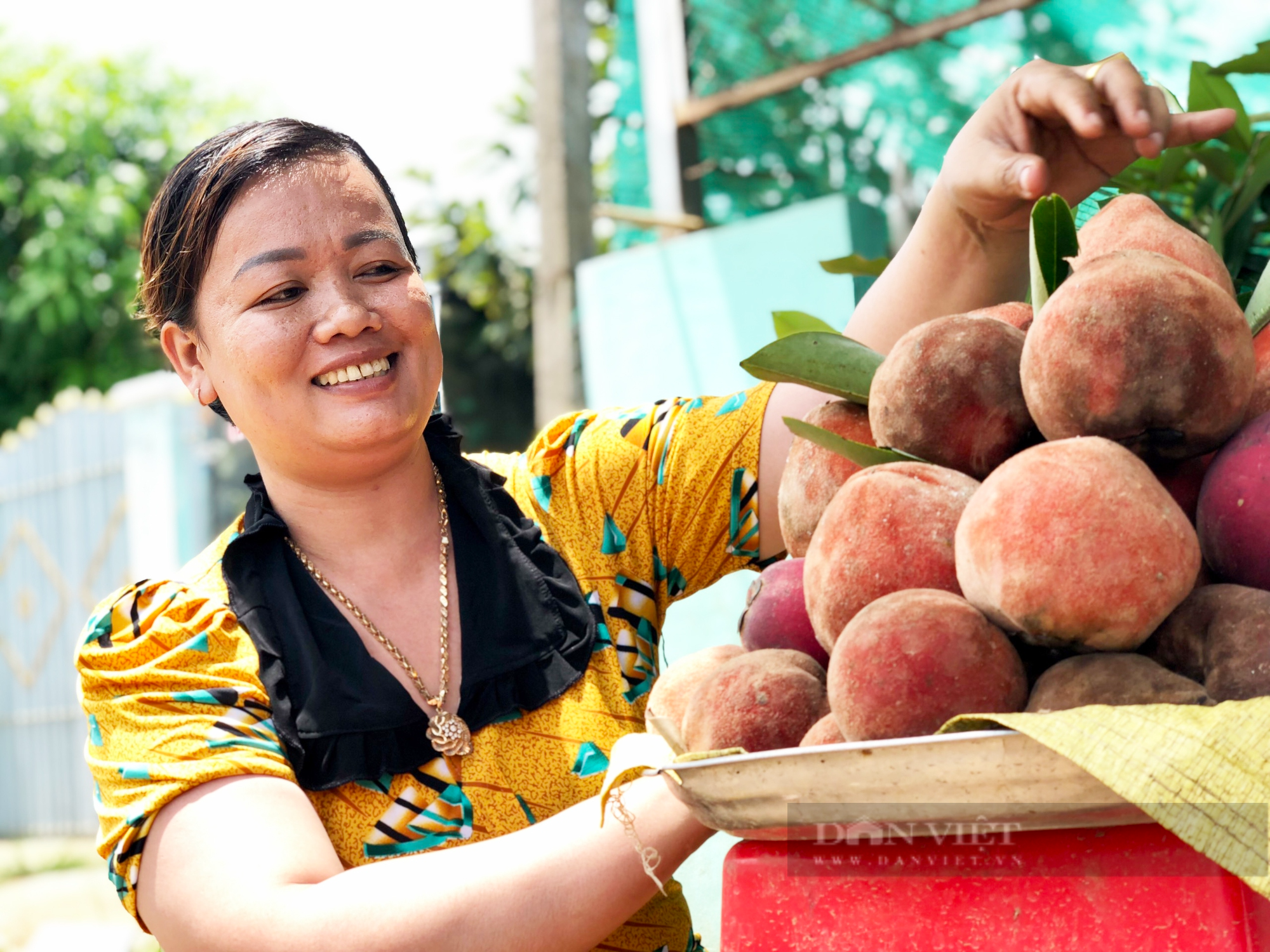 Hồng nhung là trái gì mà giúp người dân tộc Khmer Sóc Trăng có đồng ra đồng vô ổn định? - Ảnh 1.