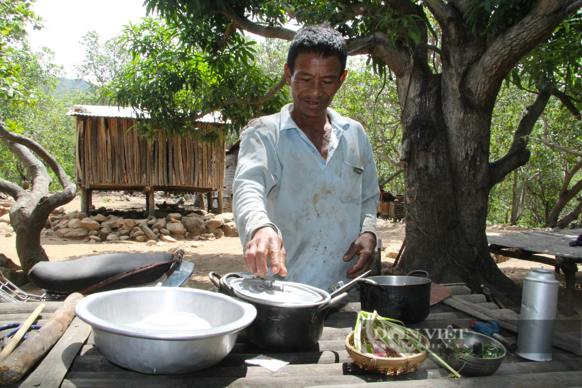 Cuộc sống người Raglai trong vườn Quốc gia Núi Chúa ở Ninh Thuận (Kỳ 3:  Vườn cây và “biệt phủ” giữa rừng già - Ảnh 5.