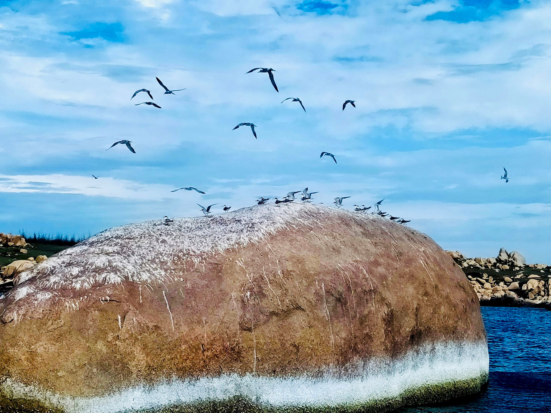 Một hòn đảo cách bờ biển Bình Thuận có hơn 9km, bãi Tiên đẹp như phim, hòn chim thấy chim bay vô số - Ảnh 4.