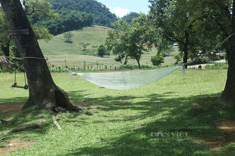 Đẹp ngỡ ngàng thảo nguyên xanh hút tầm mắt, chỉ cách Hà Nội 3h đồng hồ - Ảnh 12.