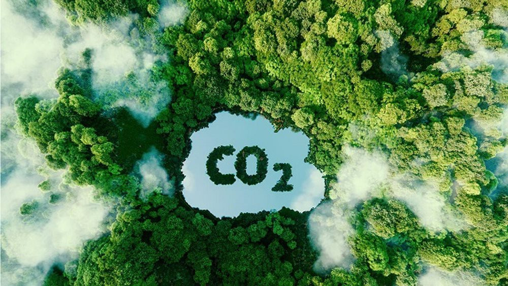 Đến năm 2028 sẽ vận hành chính thức sàn giao dịch tín chỉ carbon - Ảnh 1.