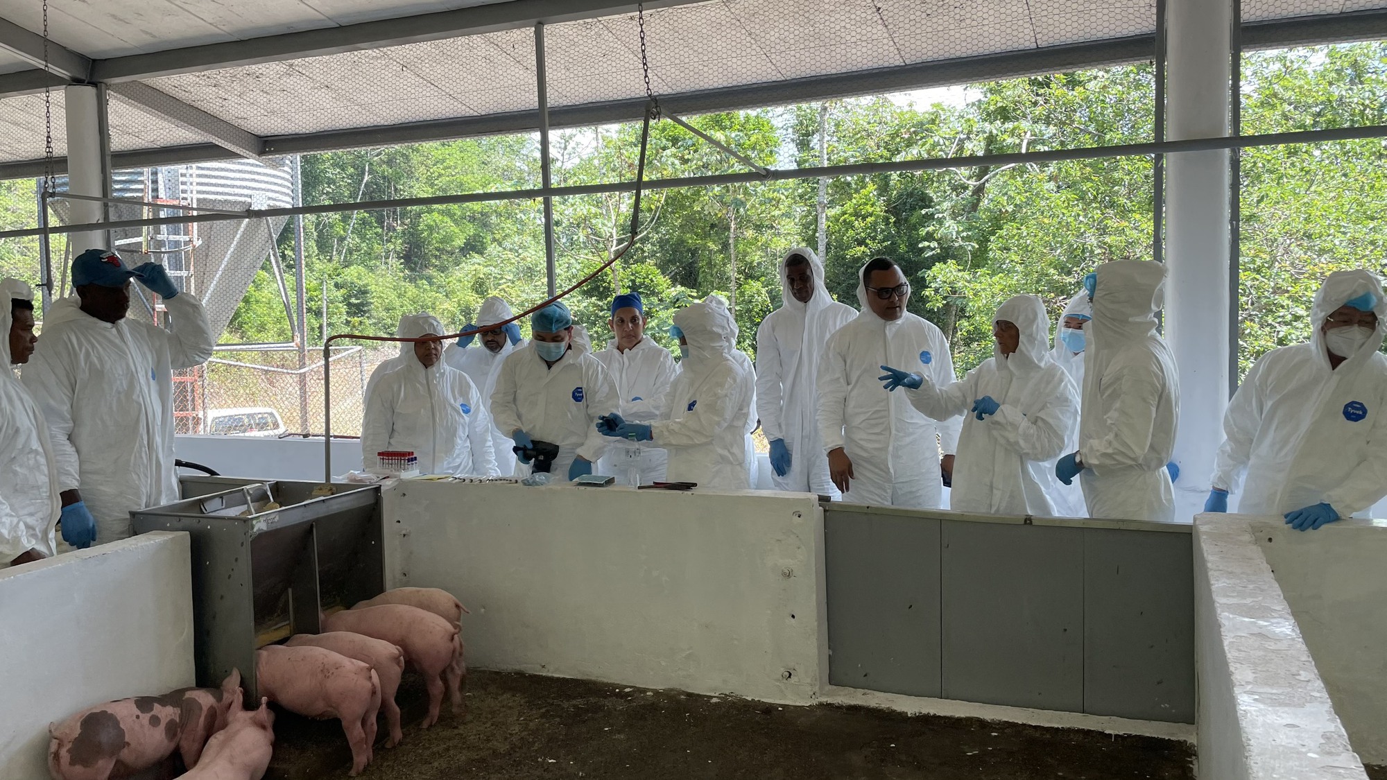 Doanh nghiệp kiến nghị cho phép sử dụng rộng rãi trên toàn quốc và xuất khẩu vaccine dịch tả lợn châu Phi - Ảnh 2.