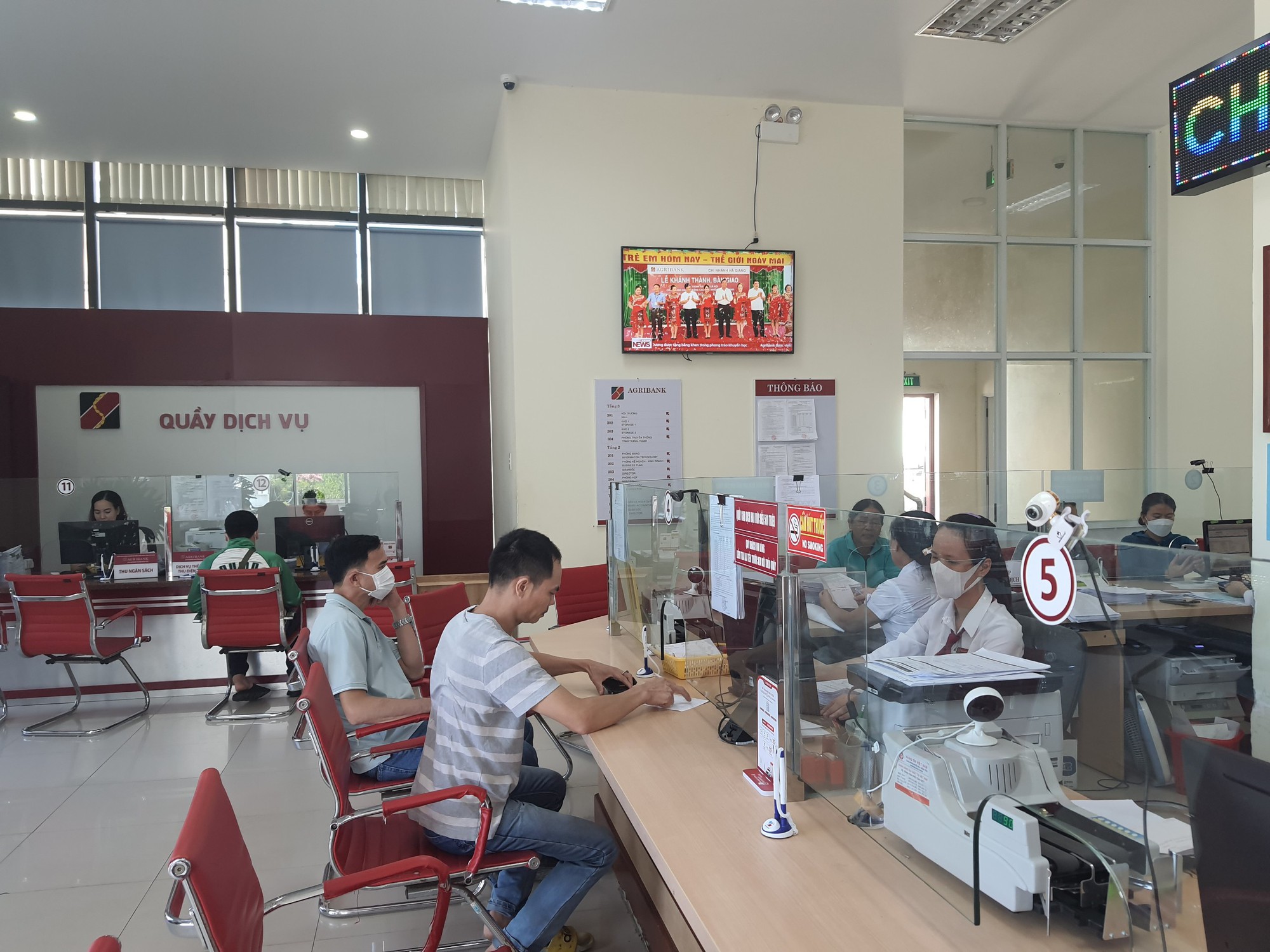 Quảng Nam: Được Agribank tiếp vốn - một nông dân ở Đại Lộc vững tin làm kinh tế, lãi hơn 200 triệu đồng/năm - Ảnh 7.