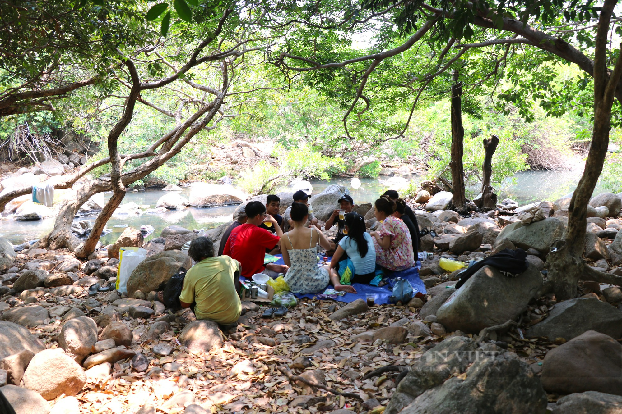 Cuộc sống người Raglai trong Vườn Quốc gia Núi Chúa ở Ninh Thuận (Kỳ 4): Bảo vệ rừng để làm du lịch xanh - Ảnh 8.
