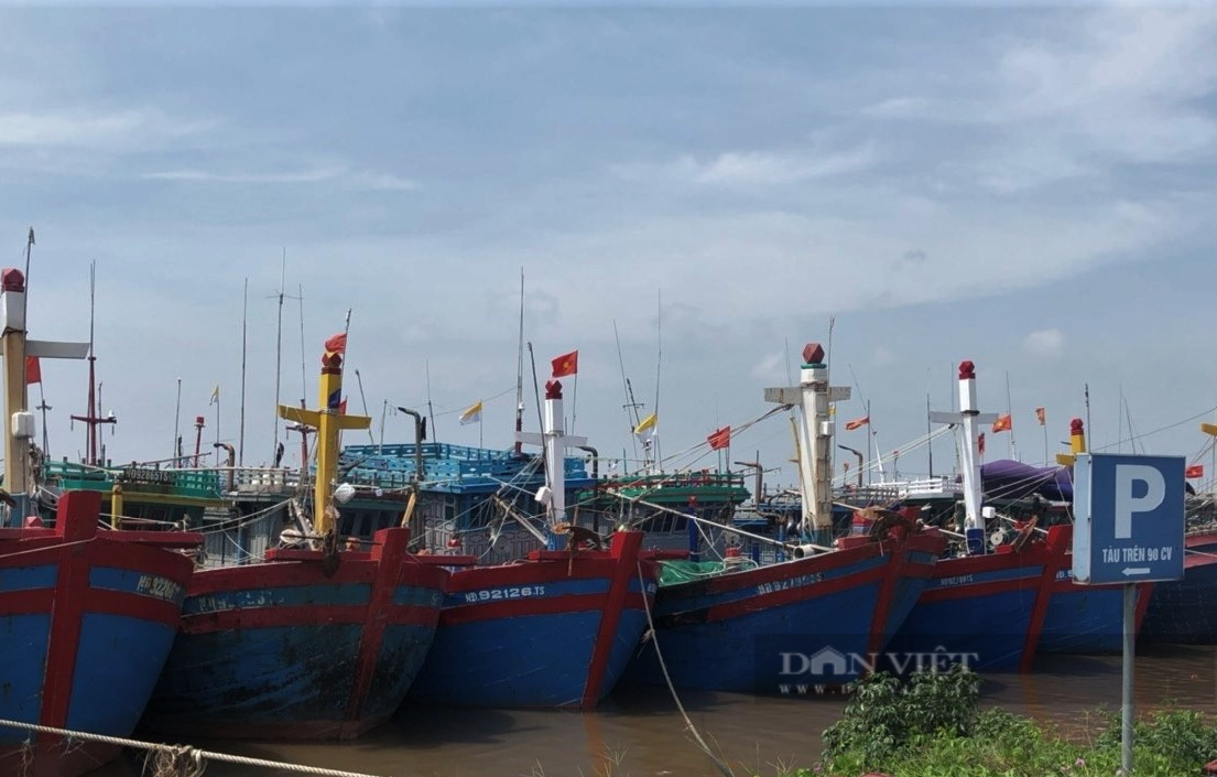 Nam Định kêu gọi tàu thuyền vào bờ tránh trú bão số 1 TALIM - Ảnh 1.