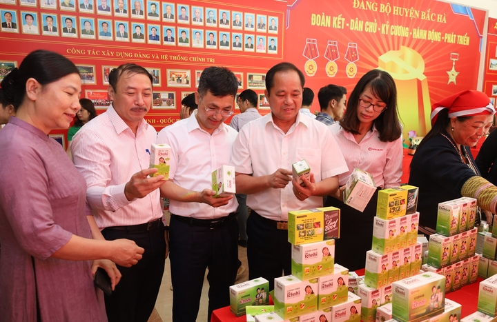 Lào Cai: Liên kết phát triển cây dược liệu bền vững gắn với sản phẩm OCOP - Ảnh 3.