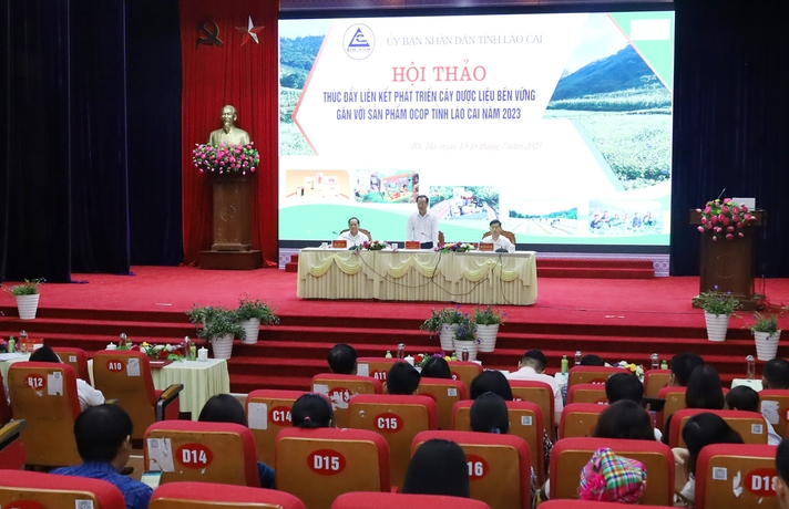 Lào Cai: Liên kết phát triển cây dược liệu bền vững gắn với sản phẩm OCOP - Ảnh 1.