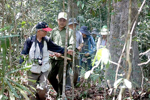 Vùng đất này ở Đồng Nai, đi vô rừng thấy những cây thuốc lạ lắm, các nhà khoa học y tế đã vào xem - Ảnh 1.