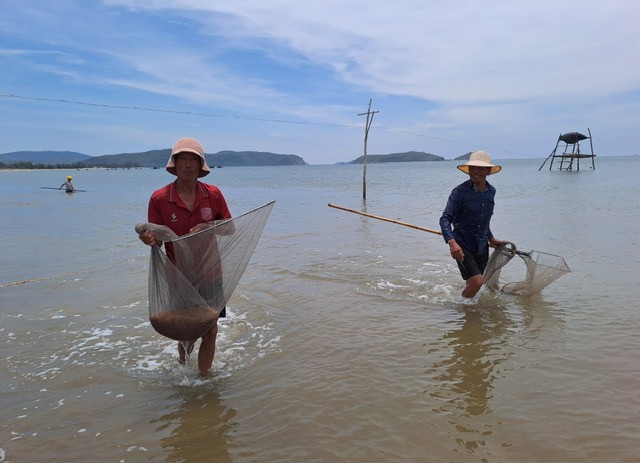 Bão số 1 đẩy từng đàn tép dạt bờ, ngư dân Quảng Bình đổ xô đi vợt bán kiếm bộn tiền - Ảnh 4.