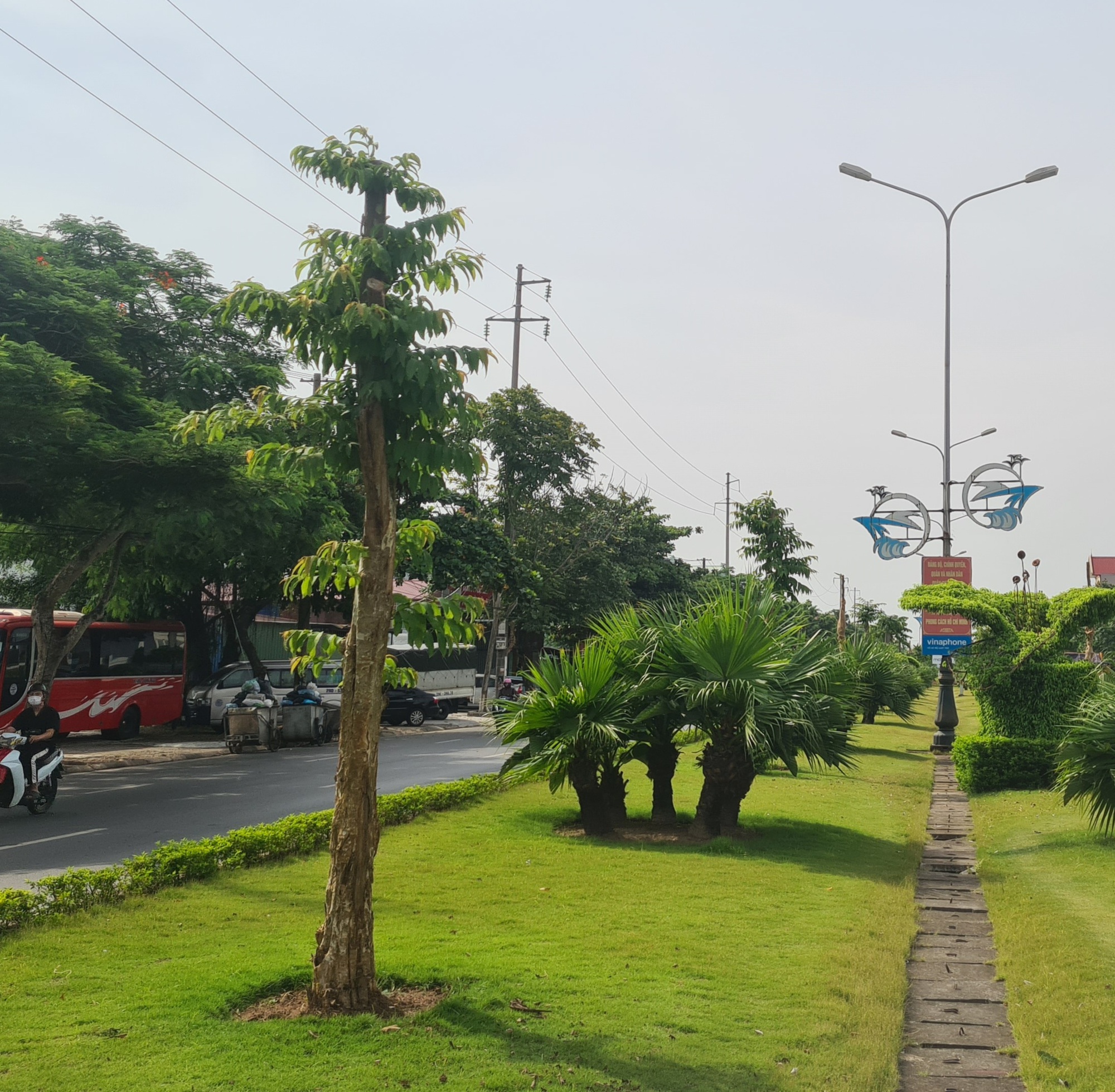 Hải Phòng: Trồng thay thế những cây bị chết và kém phát triển trên đường Phạm Văn Đồng - Ảnh 1.