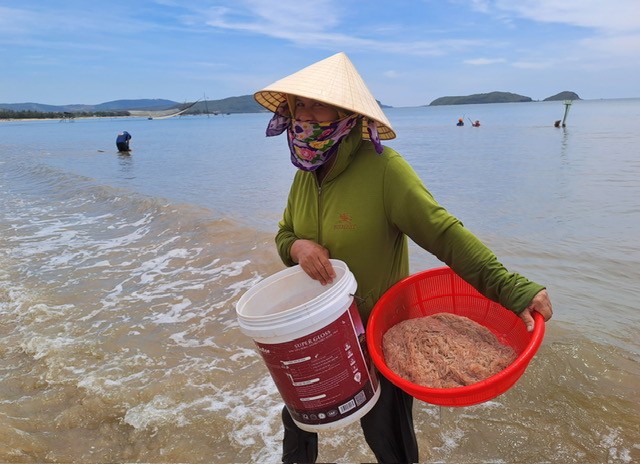 Bão số 1 đẩy từng đàn tép dạt bờ, ngư dân Quảng Bình đổ xô đi vợt bán kiếm bộn tiền - Ảnh 10.