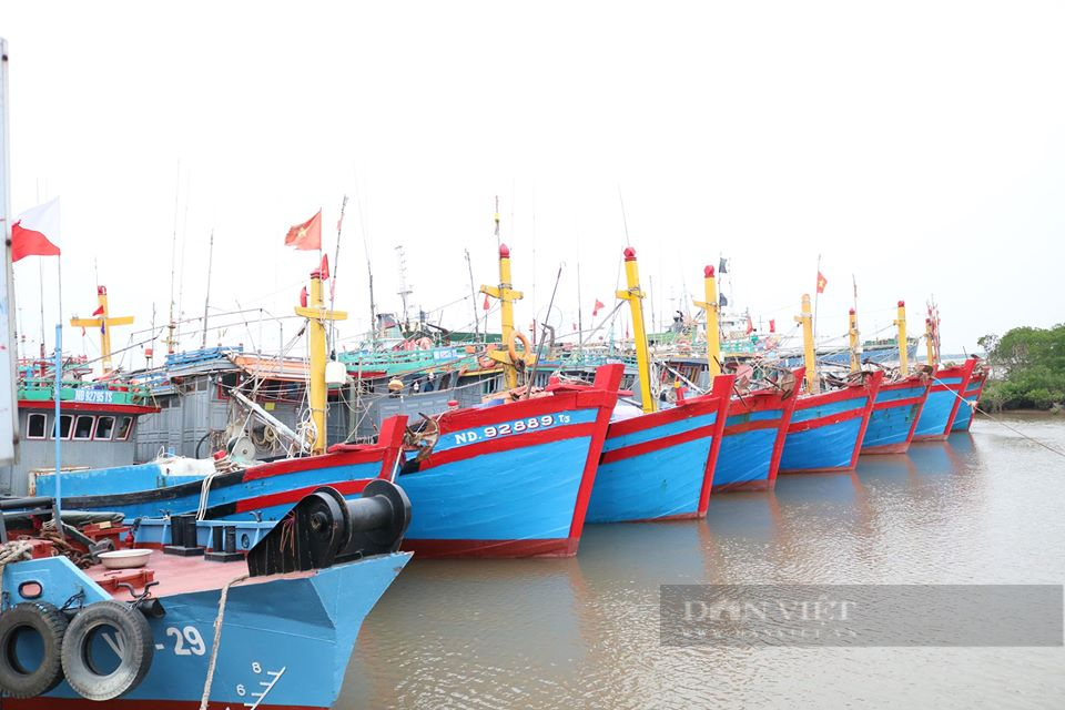 Ứng phó với bão Talim, tỉnh Nam Định thực hiện cấm biển từ 12 giờ trưa ngày 17/7 - Ảnh 1.