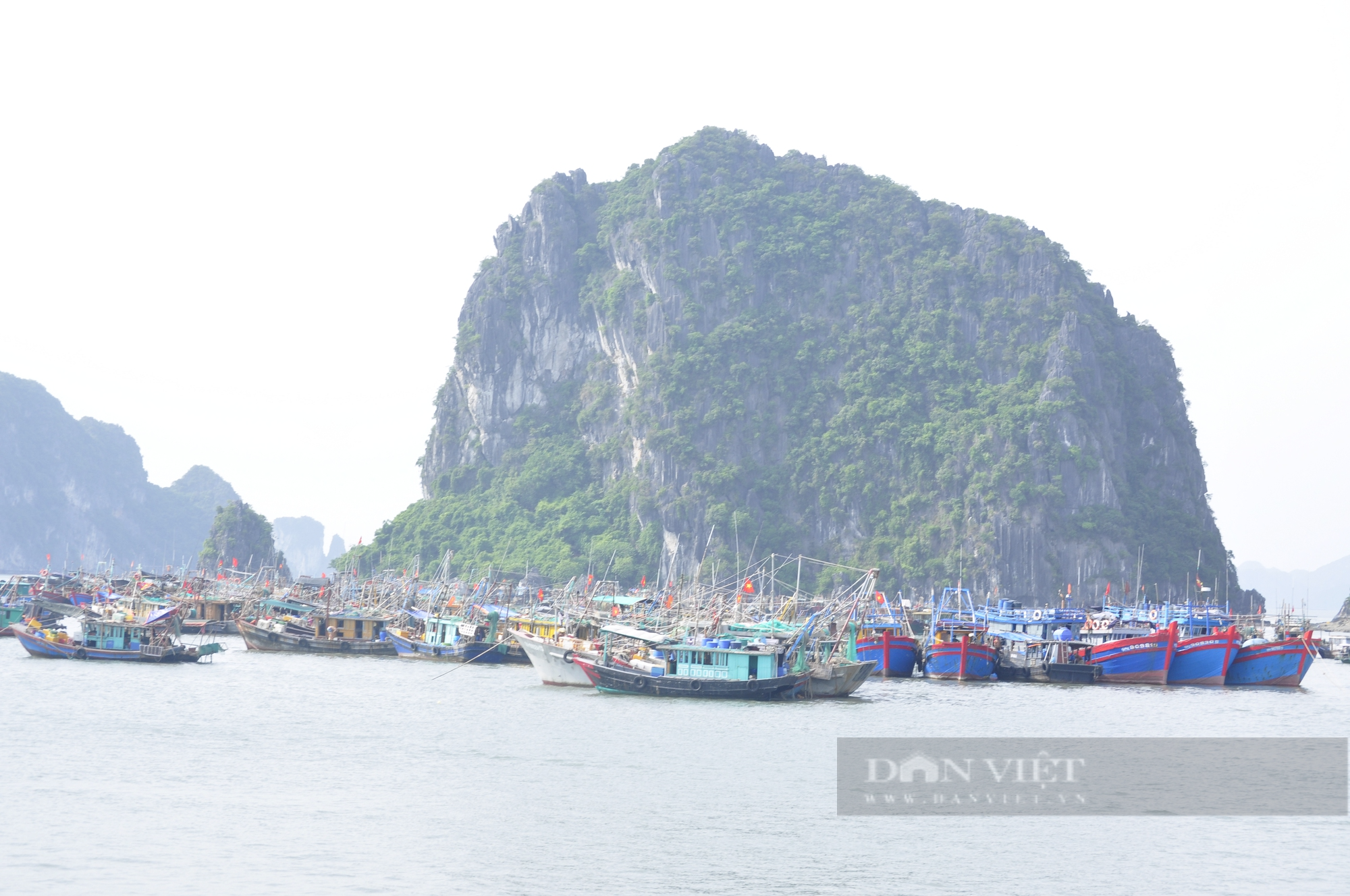 Ngư dân Hạ Long neo đậu tàu thuyền về nơi an toàn tránh bão số 1 (Talim) - Ảnh 2.