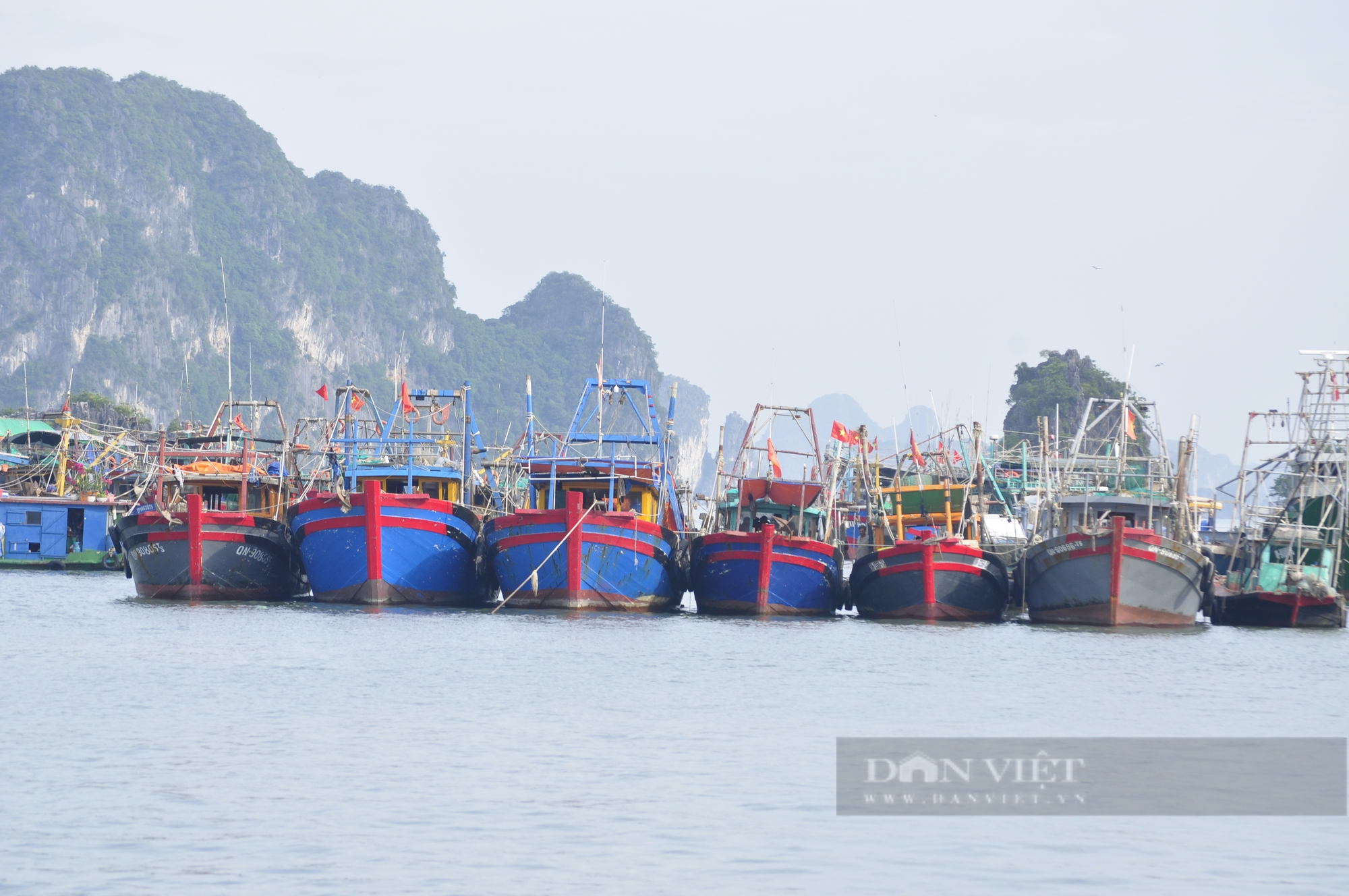 Ngư dân Hạ Long neo đậu tàu thuyền về nơi an toàn tránh bão số 1 (Talim) - Ảnh 3.