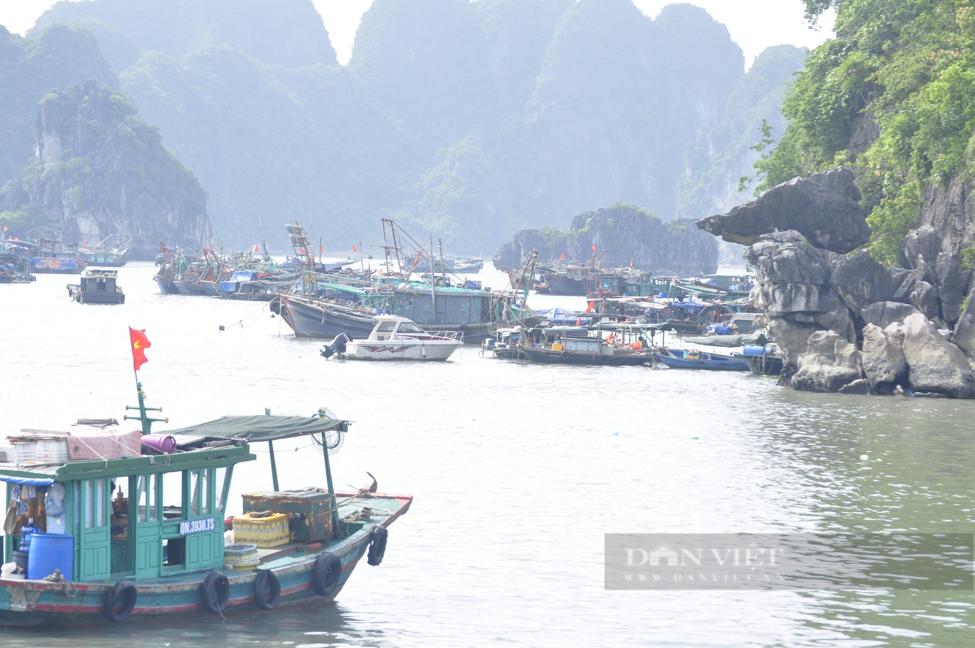 Ngư dân Hạ Long neo đậu tàu thuyền về nơi an toàn tránh bão số 1 (Talim) - Ảnh 5.