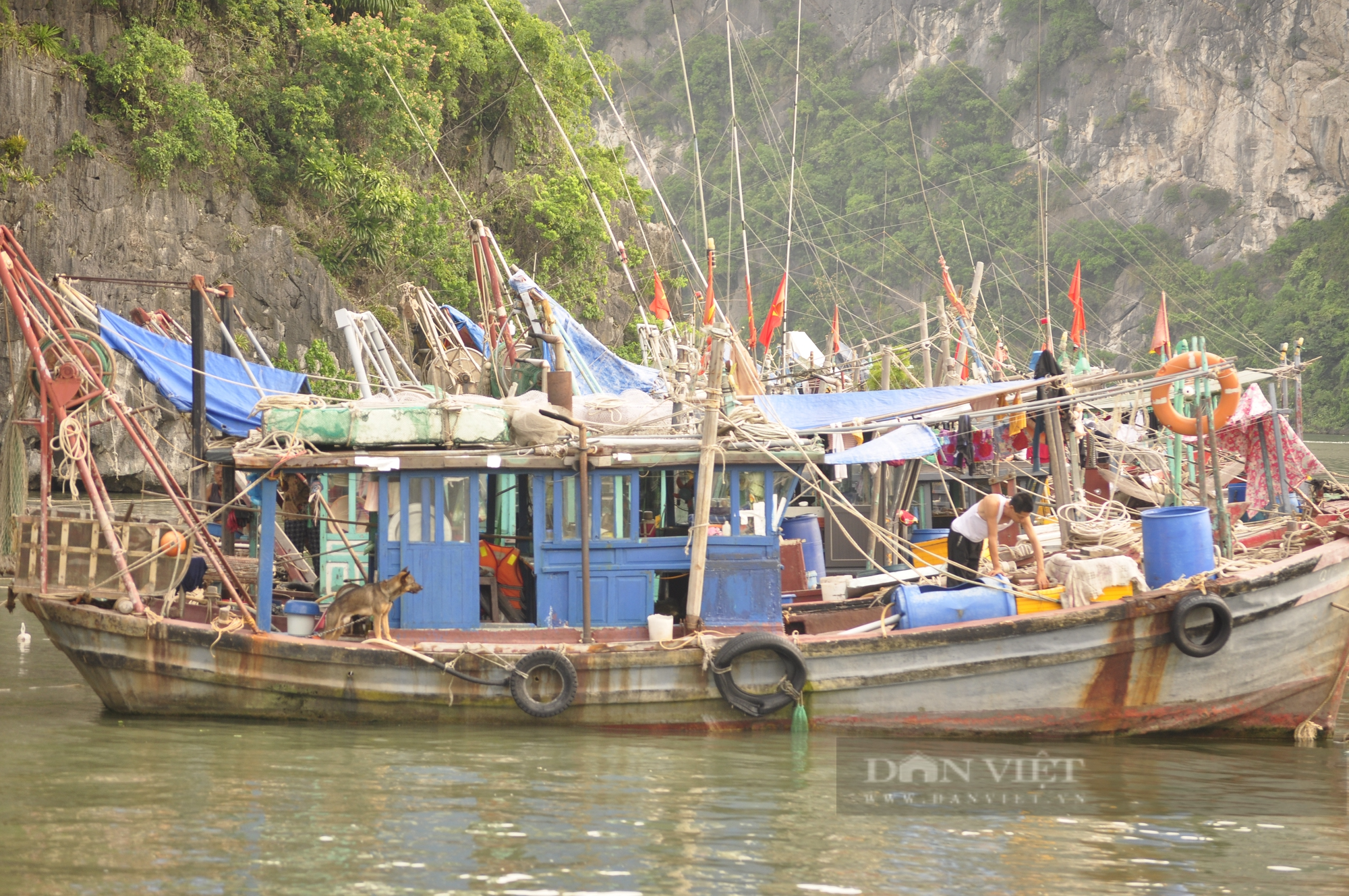 Ngư dân Hạ Long neo đậu tàu thuyền về nơi an toàn tránh bão số 1 (Talim) - Ảnh 6.