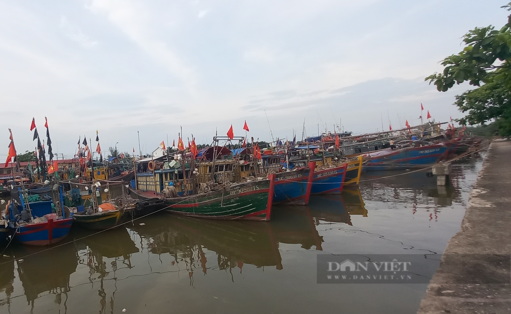 Hải Phòng: Sẵn sàng huy động nhân lực, phương tiện, vật tư phòng chống bão số 1 - Ảnh 4.