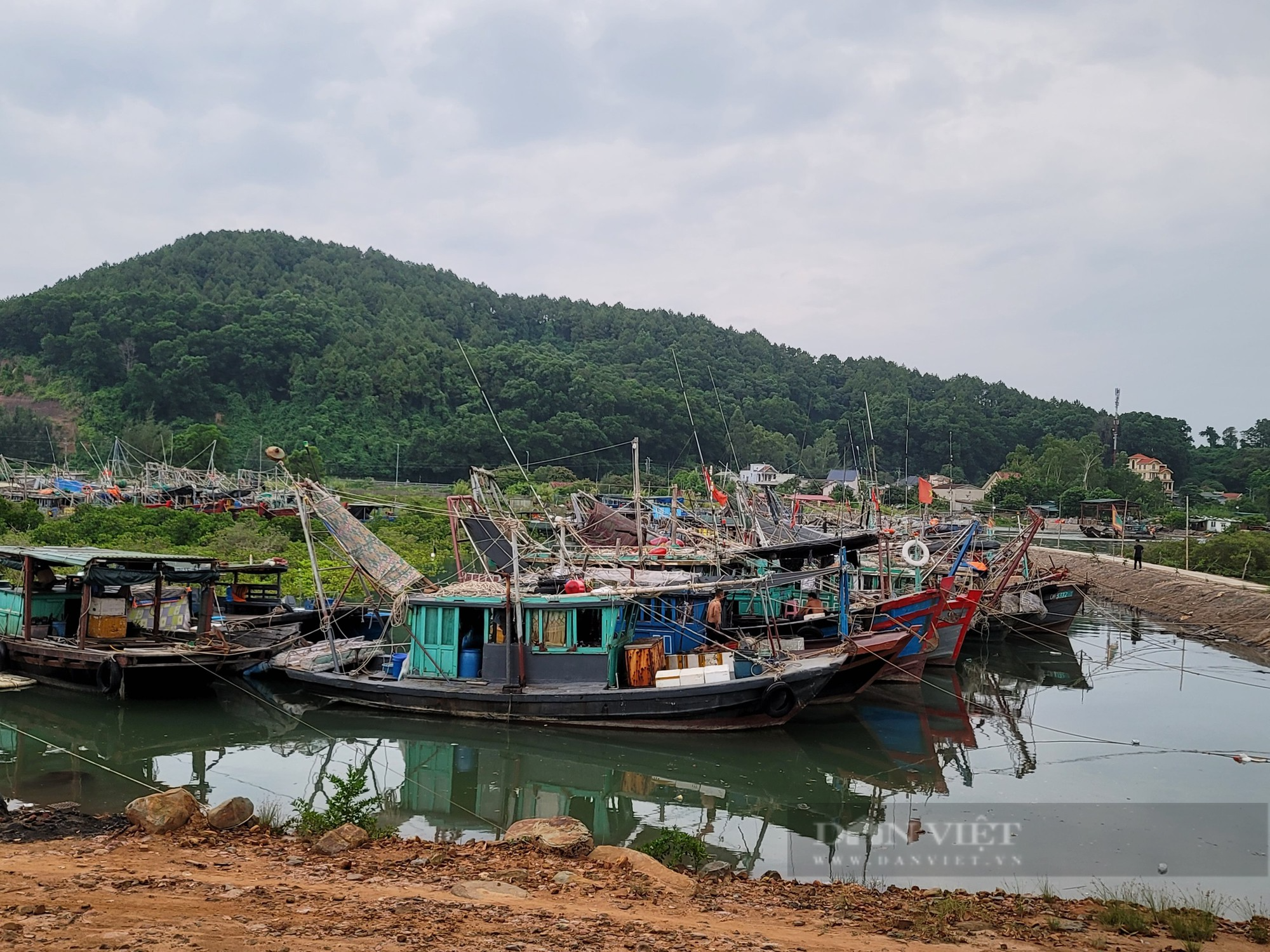 Nghe tin tâm bão Talim về Quảng Ninh, ngư dân từ Ninh Bình tất tả về Móng Cái chống bão - Ảnh 1.