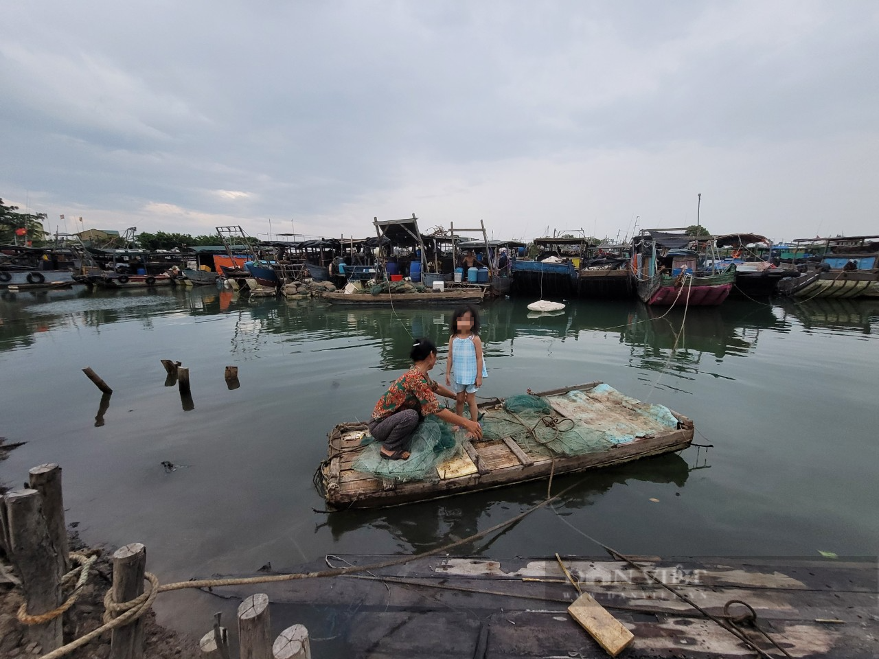 Nghe tin tâm bão Talim về Quảng Ninh, ngư dân từ Ninh Bình tất tả về Móng Cái chống bão - Ảnh 2.