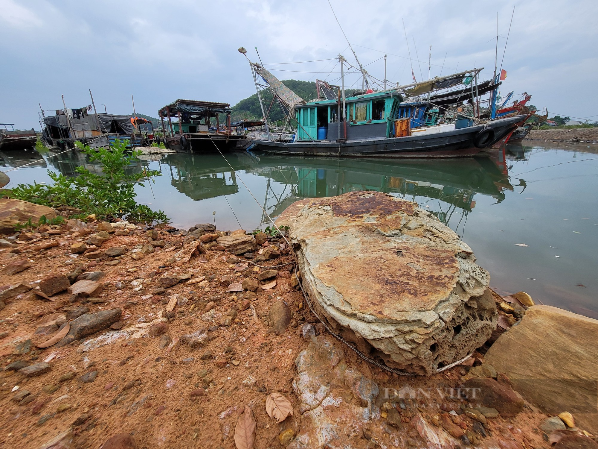 Nghe tin tâm bão Talim về Quảng Ninh, ngư dân từ Ninh Bình tất tả về Móng Cái chống bão - Ảnh 3.