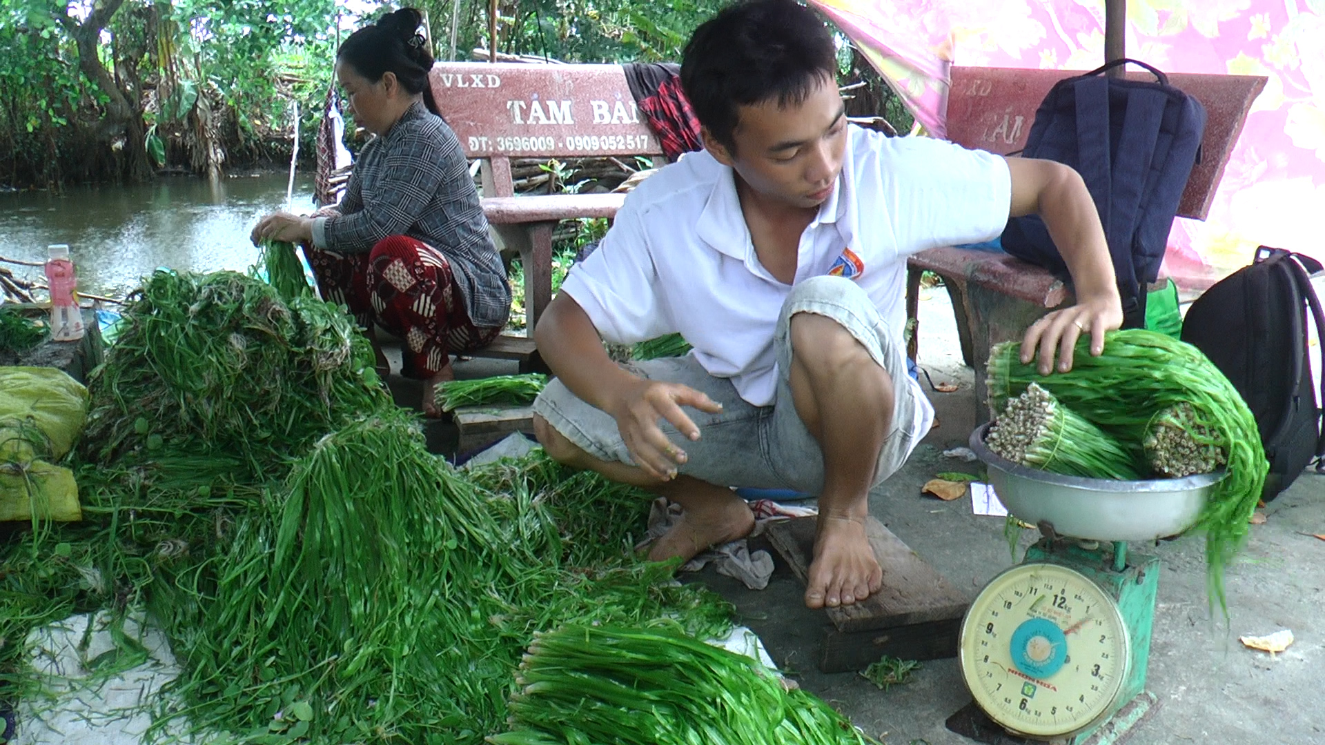 Nông dân Cà Mau “hốt bạc” mỗi ngày từ cây hẹ nước  - Ảnh 3.