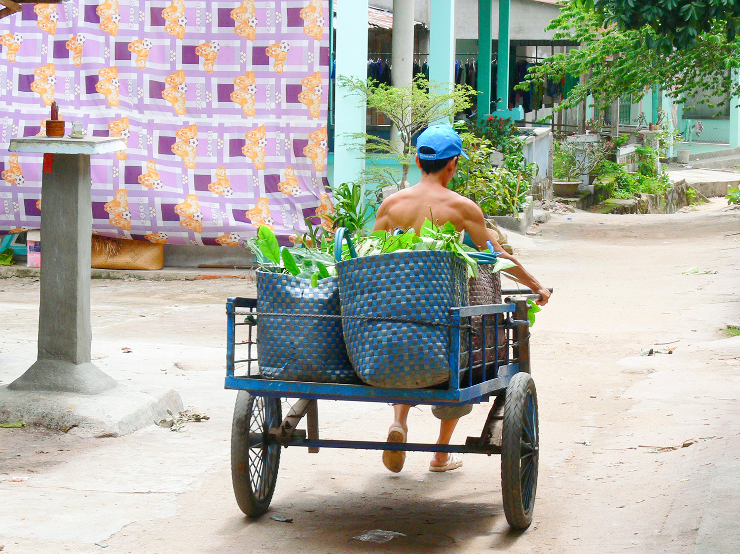 Rộn ràng mùa buôn trái cây núi Cấm - Ảnh 6.