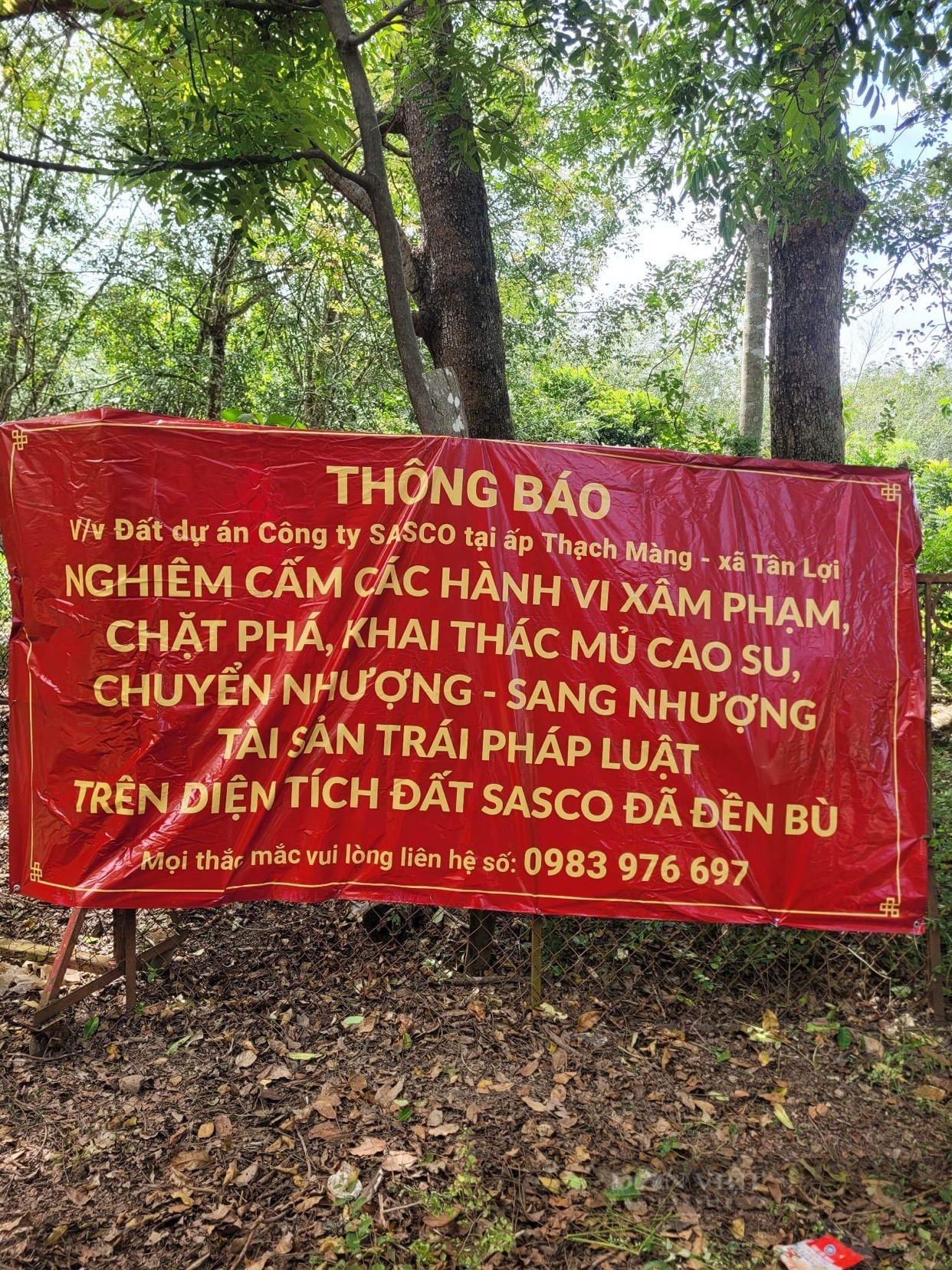 Một nông dân Bình Phước thắng kiện đòi vườn cao su, lật mặt doanh nghiệp phía sau - Ảnh 3.