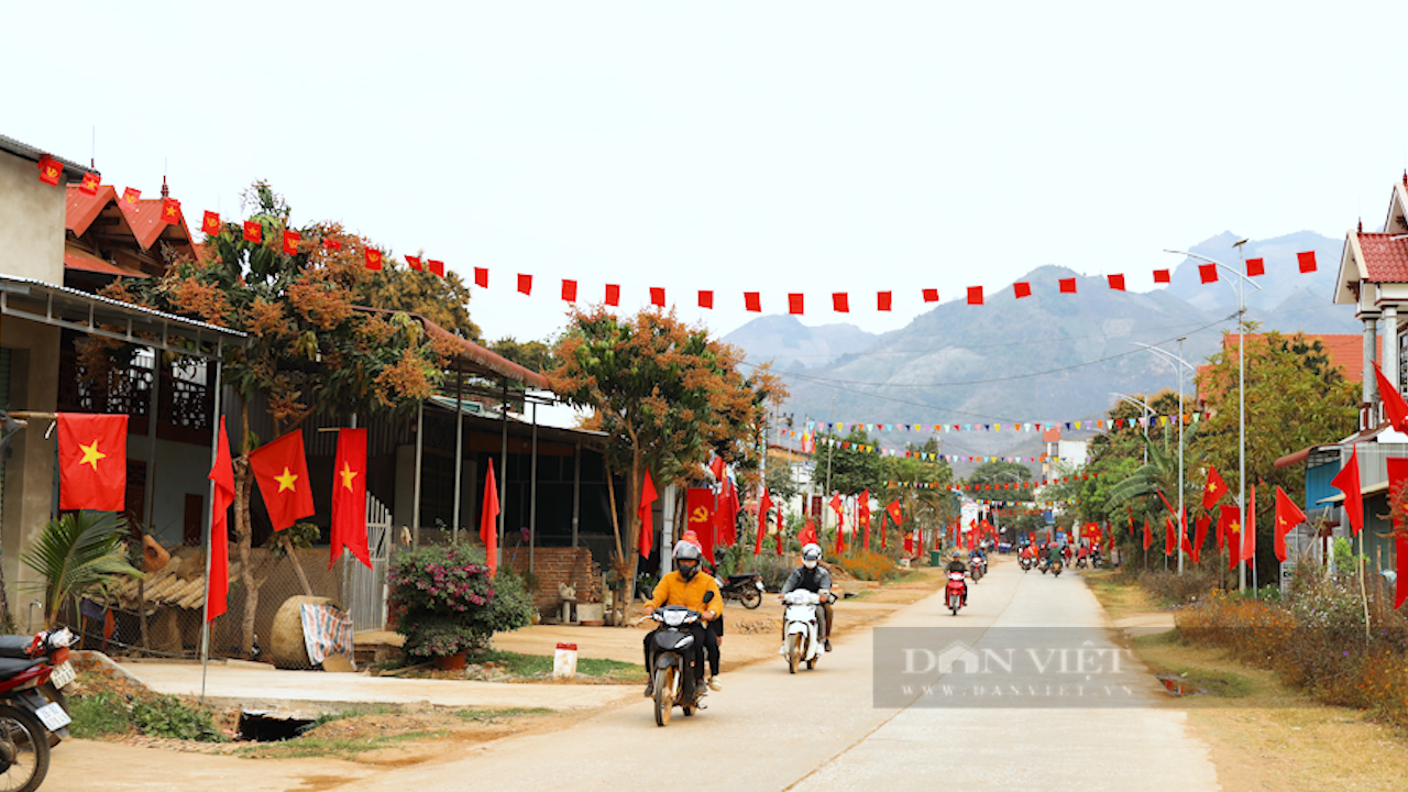 Nhiều cách làm hay, sáng tạo trong xây dựng NTM ở bản vùng cao Sơn La - Ảnh 7.