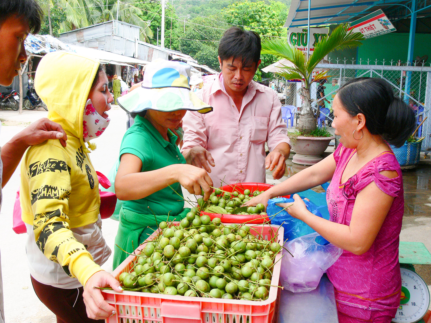 Rộn ràng mùa buôn trái cây núi Cấm - Ảnh 15.