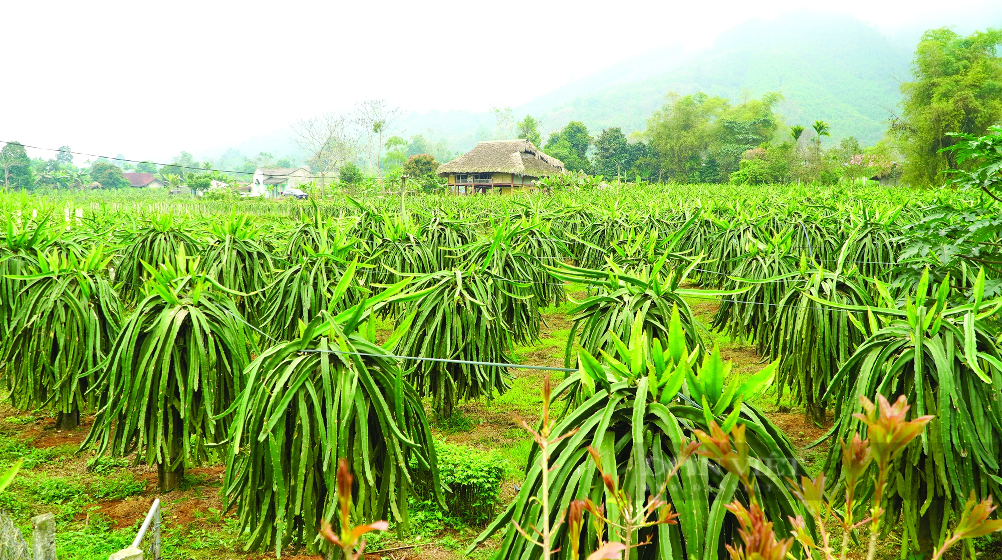 Hoàn thiện cơ sở hạ tầng, bước  đột phá để Bắc Quang về đích nông thôn mới - Ảnh 1.