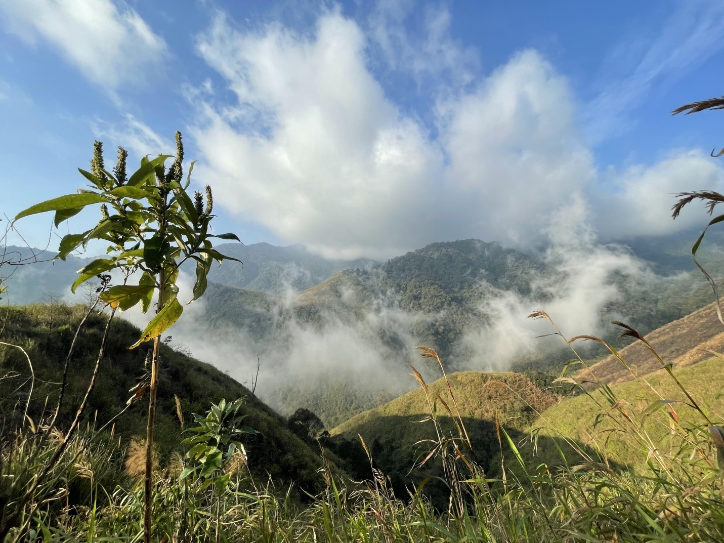 Tỉnh nào có nhiều núi cao nhất Việt Nam, đỉnh núi cao thứ 2 cả nước là ở địa phương này - Ảnh 6.